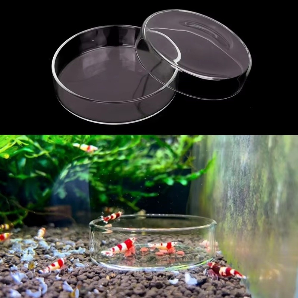 Baby Food Shrimp - Tigela de alimentação de aquário de