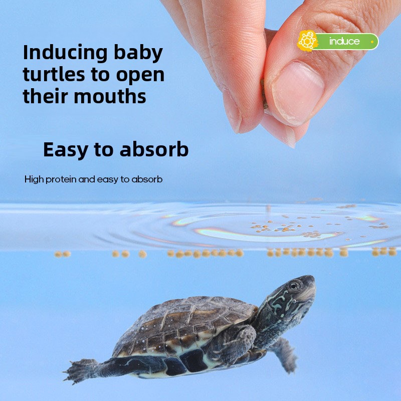 Fulepets comida de tartaruga p - Baby Food High In Protein avaliação e preço