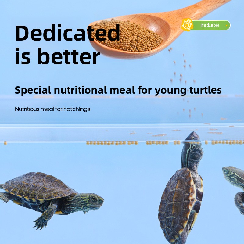 Fulepets comida de tartaruga p - Baby Food High In Protein avaliação e preço