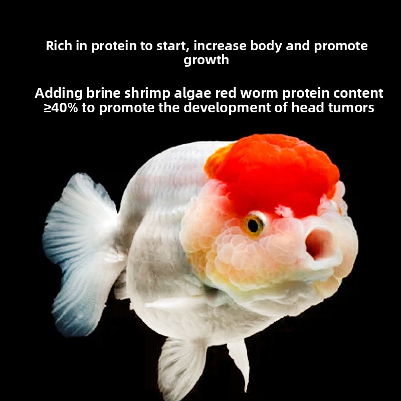 Peixe bebê afundando comida de - Baby Food High In Protein avaliação e preço