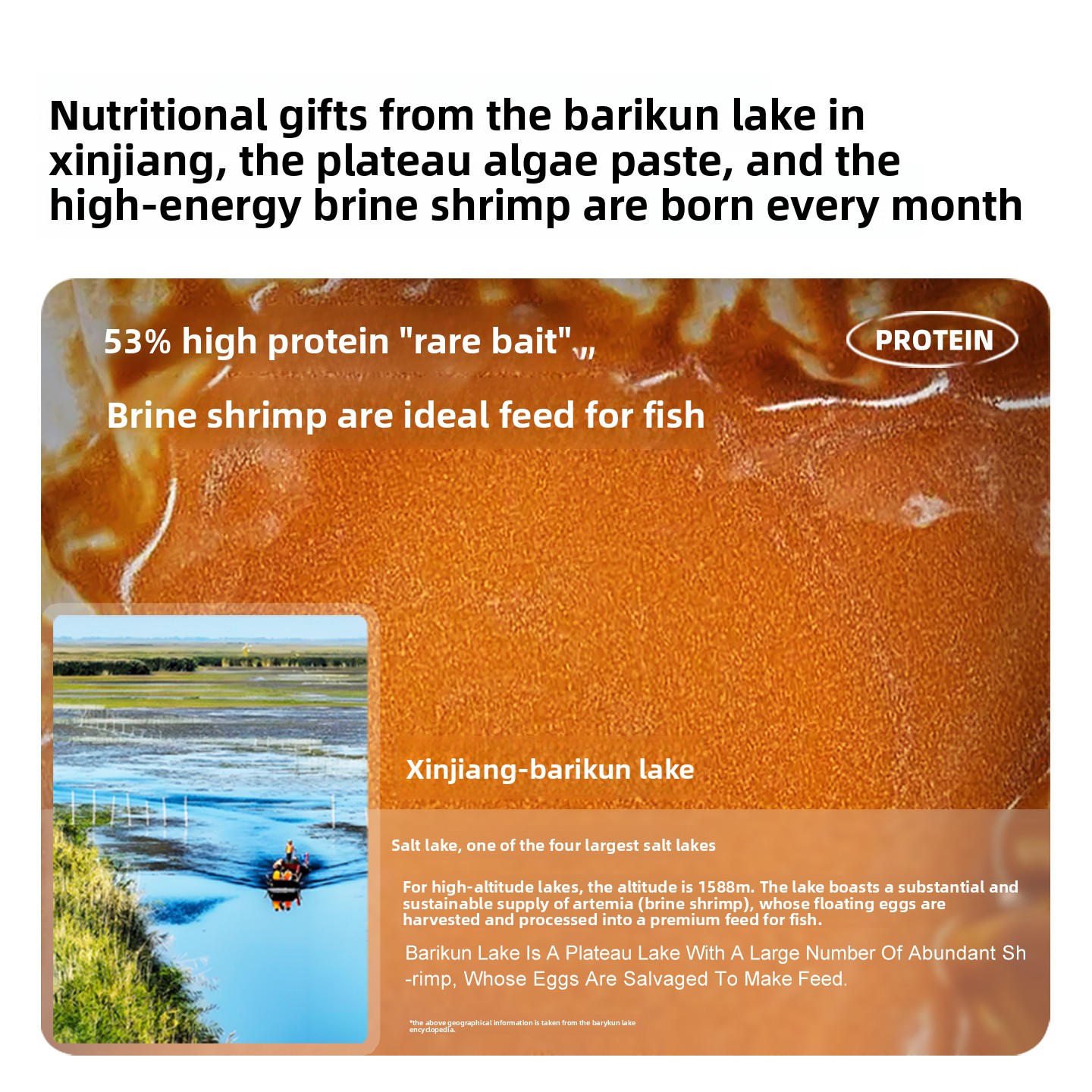 SANKii Artemia de camarão de s - Baby Food High In Protein avaliação e preço