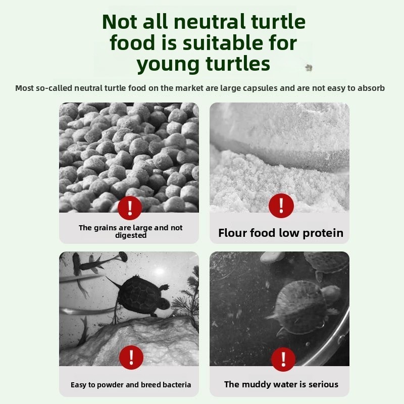 Nai chong Hatchling Turtle Foo - Baby Food High In Protein avaliação e preço
