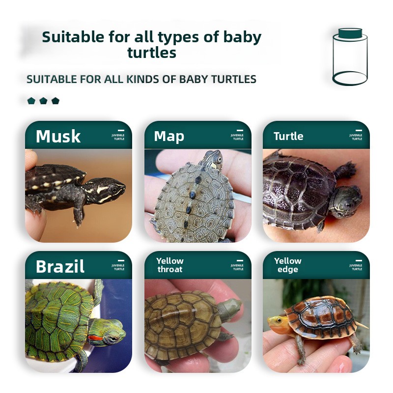 BESSN Comida para Tartarugas e - Baby Food Shrimp avaliação e preço
