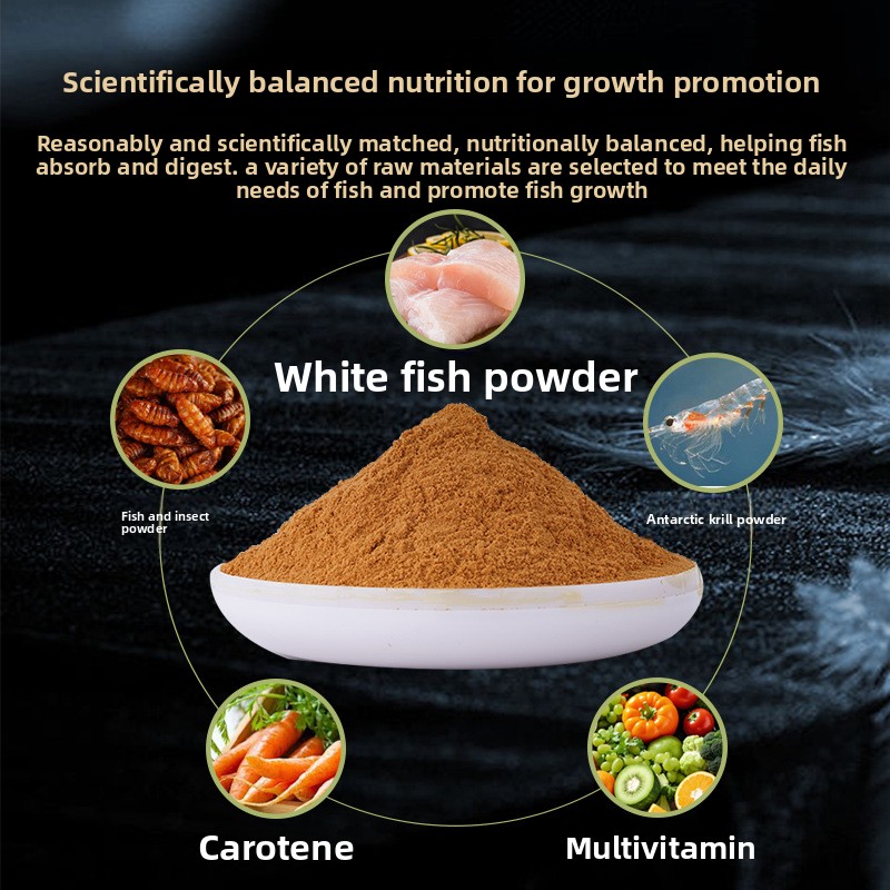 Zhipin comida para fritar peix - Baby Food High In Protein avaliação e preço