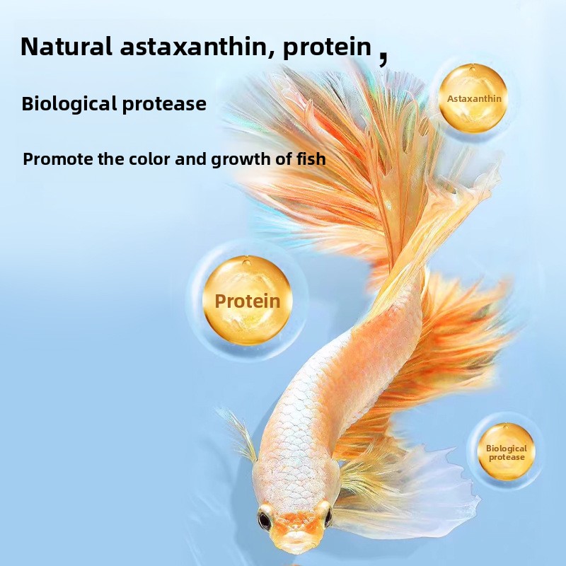 Yee comida instantânea para pe - Baby Food Shrimp avaliação e preço
