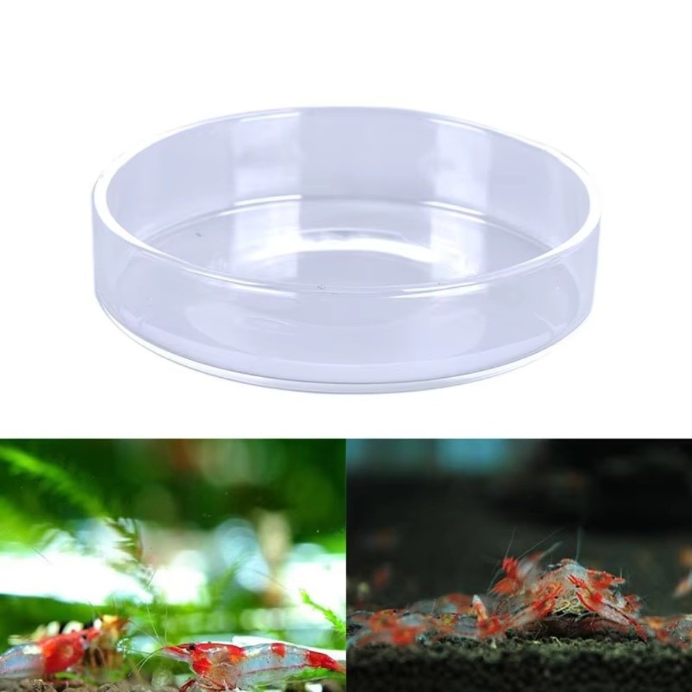 Tigela de alimentação de aquár - Baby Food Shrimp avaliação e preço