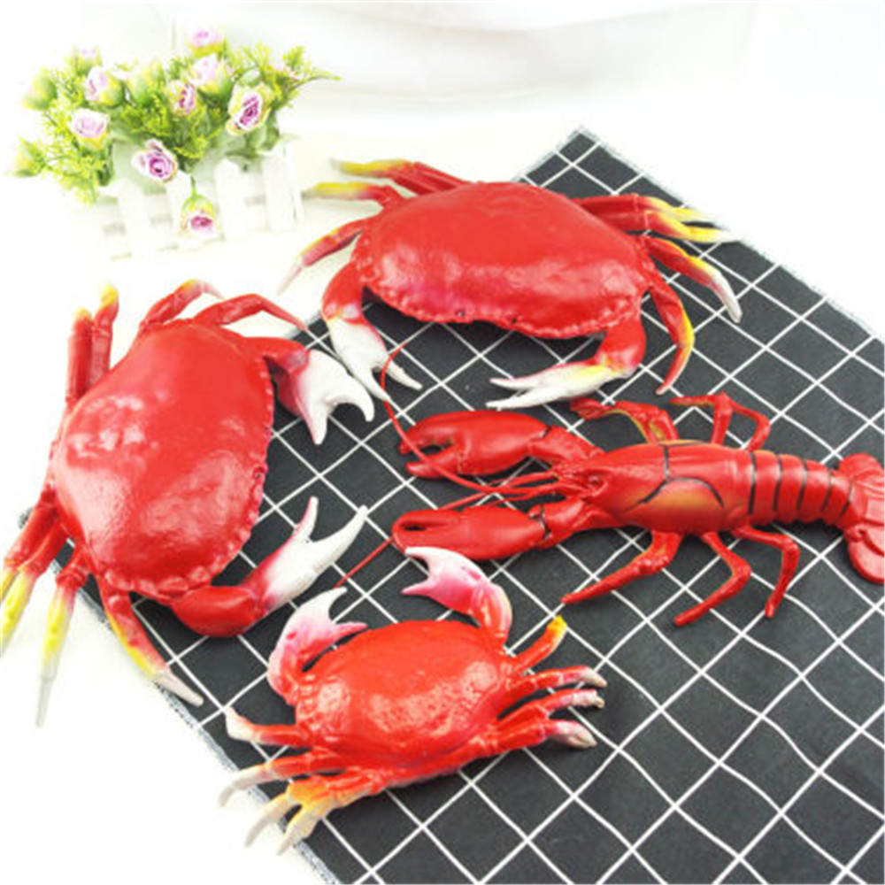 Adereços de exibição de alimen - Baby Food Shrimp avaliação e preço