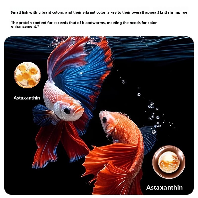 Yee Krill & Baby Shrimp Alimen - Baby Food High In Protein avaliação e preço
